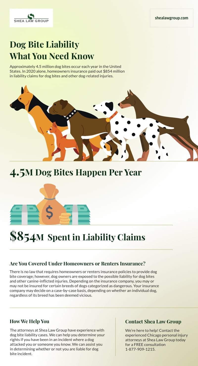 information about dog bites